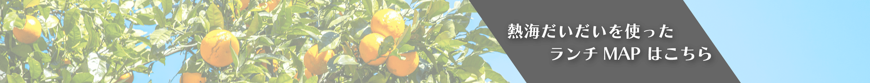 熱海だいだいを使ったランチMAP はこちら