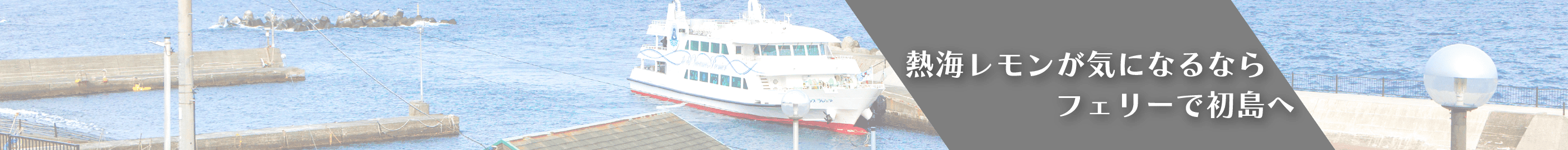 熱海レモンが気になるならフェリーで初島へ