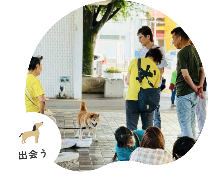 保護犬譲渡会の様子