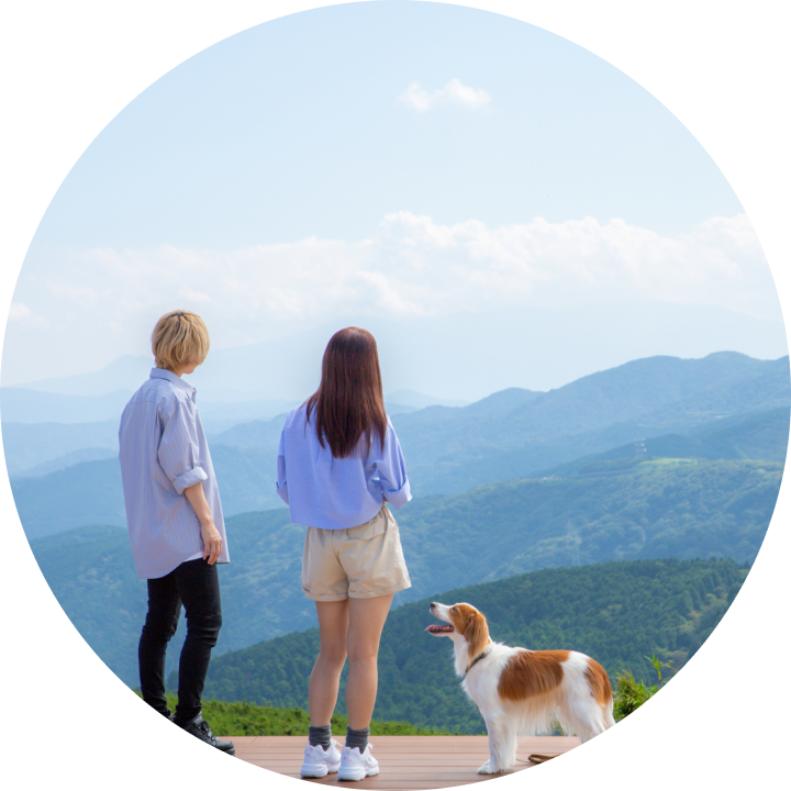 山の展望台から景色を眺める二人と犬