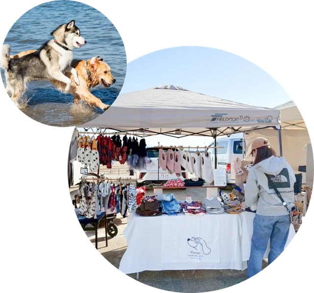 ビーチで駆け回る犬たちと、マルシェの出店の様子