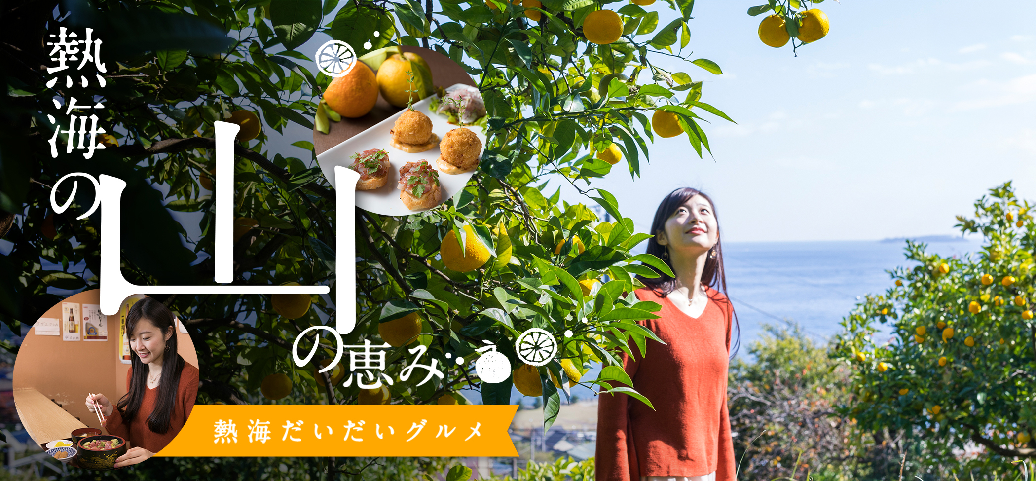 熱海の山の恵み熱海だいだいグルメ